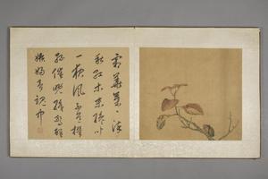 陈字花卉人物册