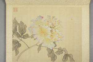 蒋廷锡牡丹十六种册