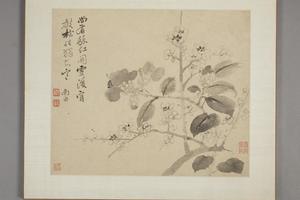 恽寿平山水花卉册