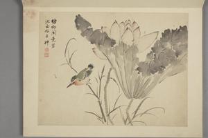 杨晋山水花鸟册