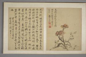 马元驭花鸟图册