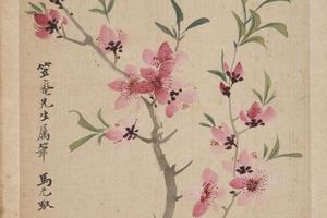 马元驭桃花册页
