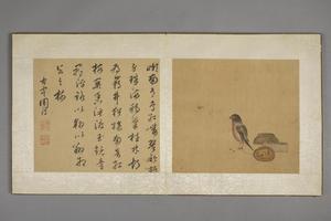 陈字花卉人物册