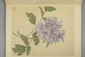 蒋廷锡牡丹十六种册