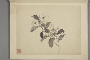 杨晋山水花鸟册