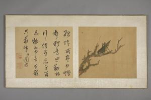 陈字花卉人物册