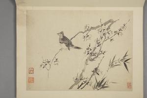 杨晋山水花鸟册