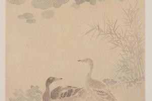 恽寿平花鸟册