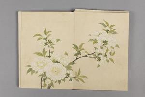 董诰花卉小册