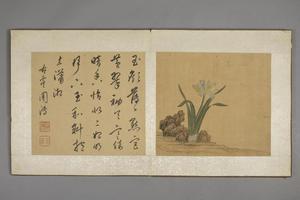陈字花卉人物册