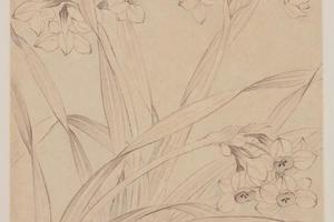 恽寿平花鸟册