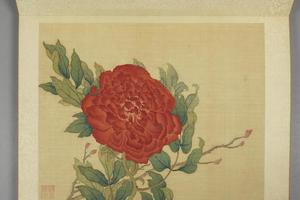 蒋廷锡牡丹十六种册