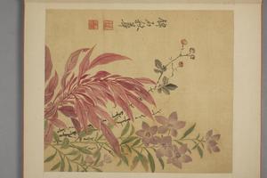 马元驭花卉册