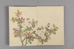 董诰花卉小册