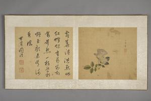 陈字花卉人物册
