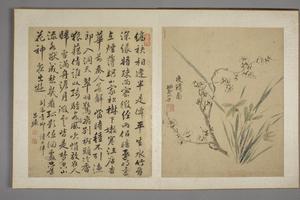 马元驭花鸟图册