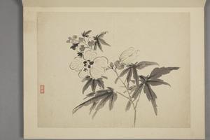 杨晋山水花鸟册