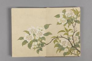 董诰花卉小册