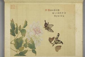 蒋廷锡牡丹十六种册