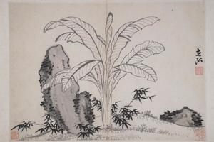 明清诸家集锦册-孙克弘蕉石册页