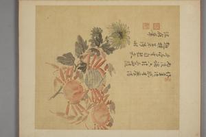 马元驭花卉册
