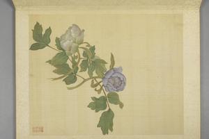 蒋廷锡牡丹十六种册