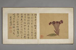 陈字花卉人物册