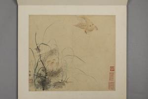华喦花鸟册