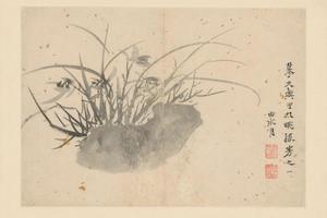 徐渭人物花卉册