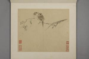 华喦花鸟册