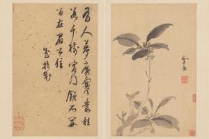 孙克弘花卉册