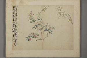 黄慎杂画册