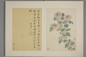 王武花卉册