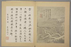 沈颢墨梅册