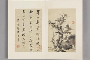 查士标枯木竹石册