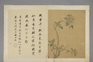 项圣谟花卉册