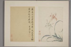 王武花卉册
