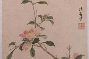 项圣谟花卉草虫册