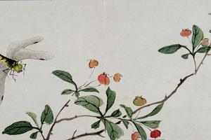 黄钺化洽翾蜎图册