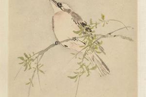 马元驭花鸟册