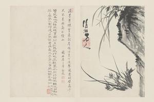 原济兰竹册－兰石