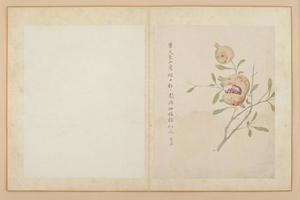 蒋淑临蒋廷锡花卉册