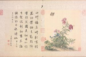 郎世宁花鸟册