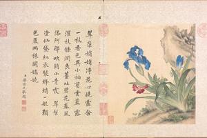 郎世宁花鸟册