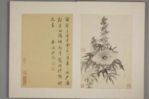 王武花卉册