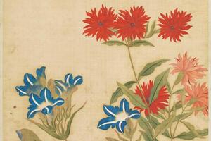 范廷镇花卉图册