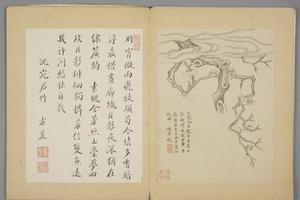 沈颢墨梅册