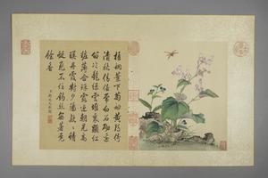 蒋廷锡花卉图册