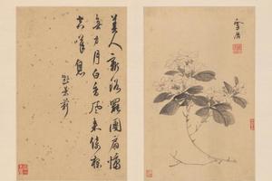 孙克弘花卉册