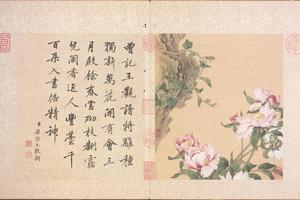 郎世宁花鸟册